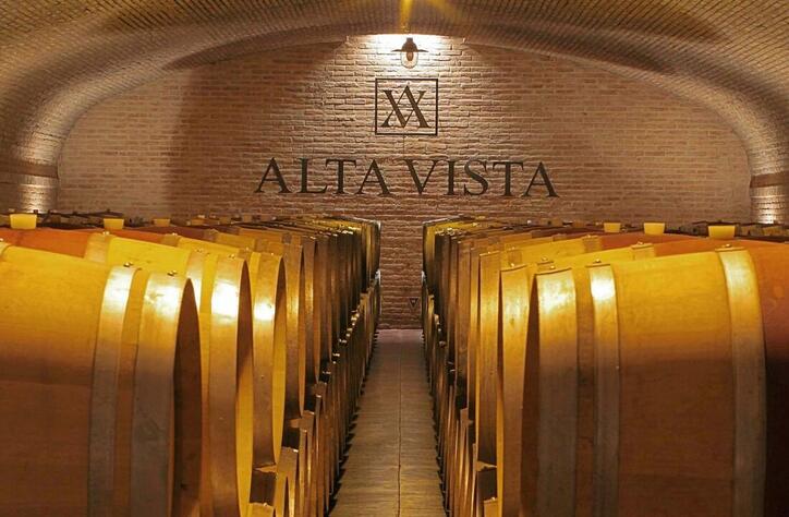 bodega altavista